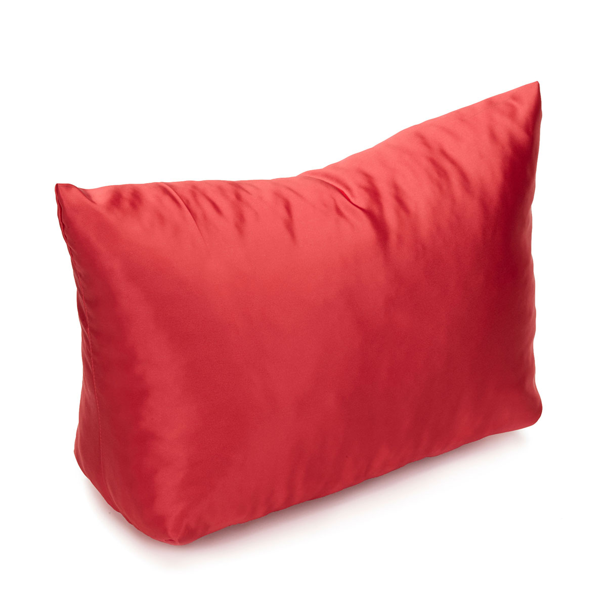 Louis Vuitton Ultra Rare Monogram Pillow Bag Shaper Stuffing 10LVS1218 –  Bagriculture
